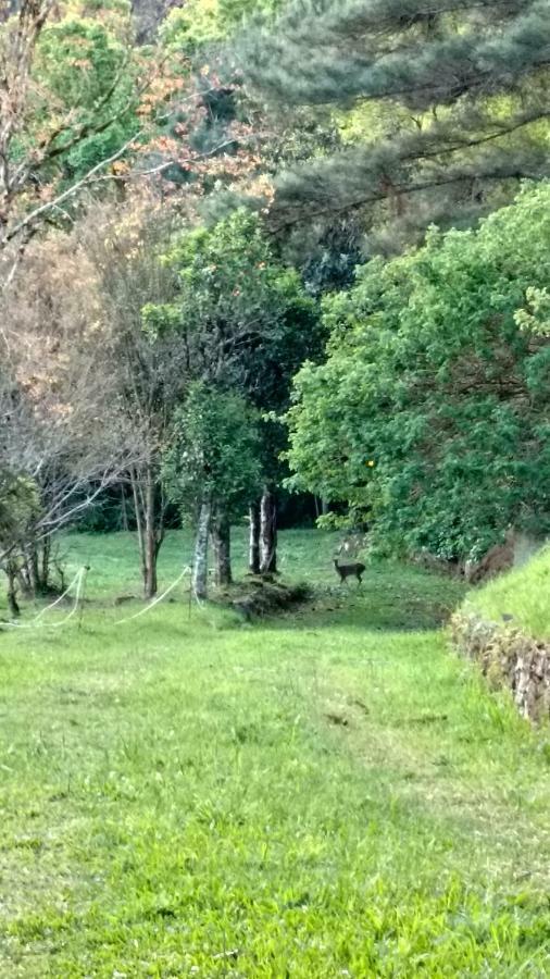 Estalagem Reserva Da Collina Gramado Eksteriør bilde